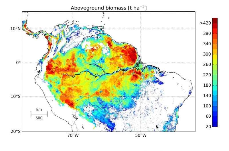 The forests of the Amazon are an important carbon sink