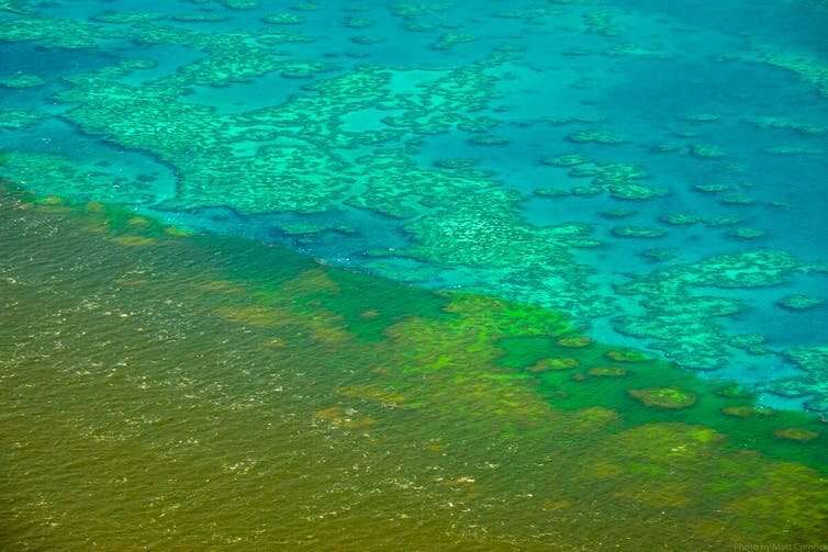 The Great Barrier Reef is in trouble. There are a whopping 45 reasons why