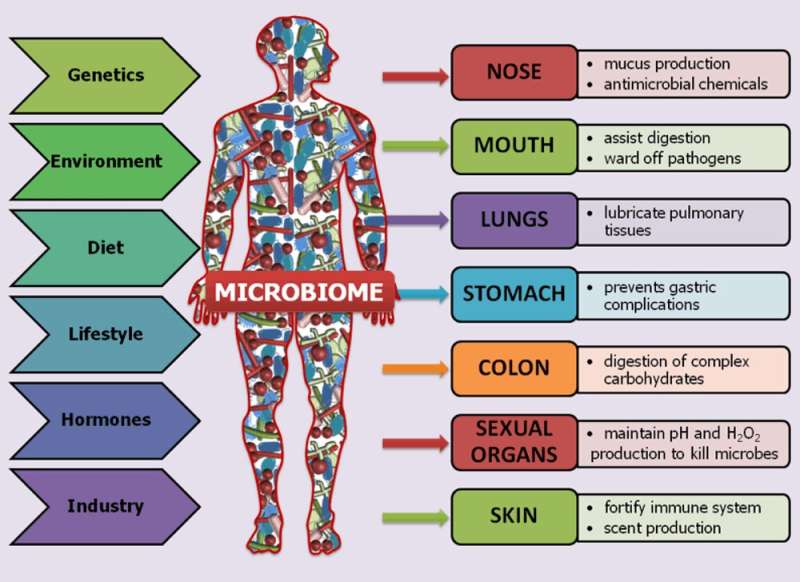 The human microbiome is a treasure trove waiting to be unlocked