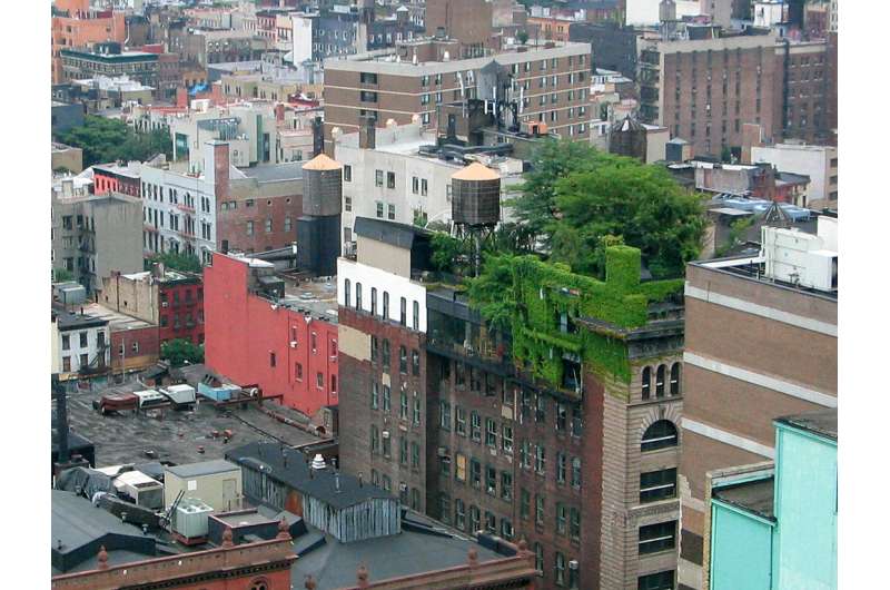 Two birds, one stone: Green roof gardening in the city