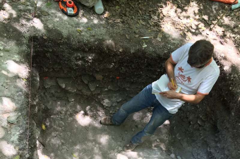 UC researchers find ancient Maya farms in Mexican wetlands