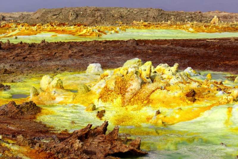 Ultra-small microbes exhibit extreme survival skills in Ethiopia’s Mars-like wonderland