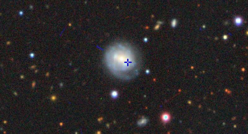 Unusual supernova opens a rare window on the collapse of a star