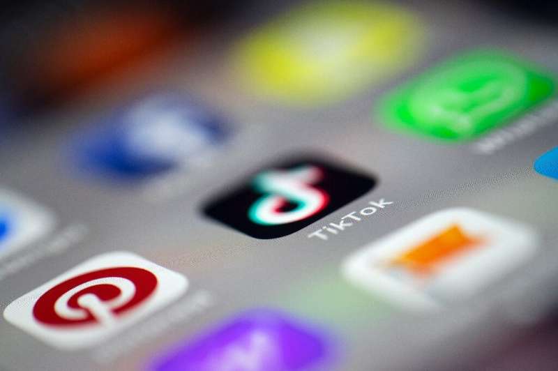 US lawmakers called for a probe of Chinese-owned video app TikTok, saying it had the potential to be used for spying by the Chin