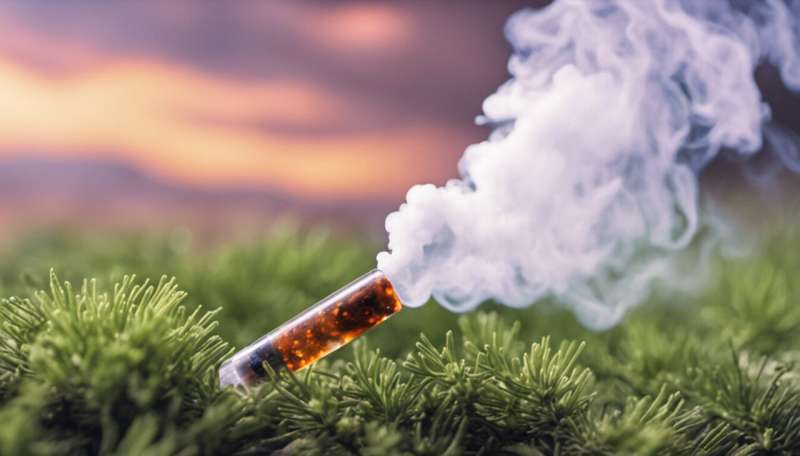 Vaping-related lung disease now has a name – and a likely cause. 5 things you need to know about EVALI