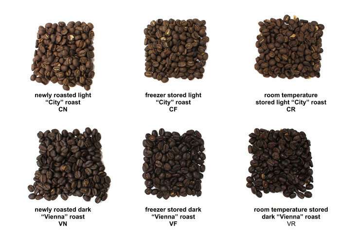 Wake up and smell the coffee: Research shows freezing beans can preserve aroma