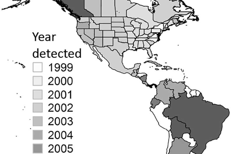 West Nile virus in the New World: Reflections on 20 years in pursuit of an elusive foe