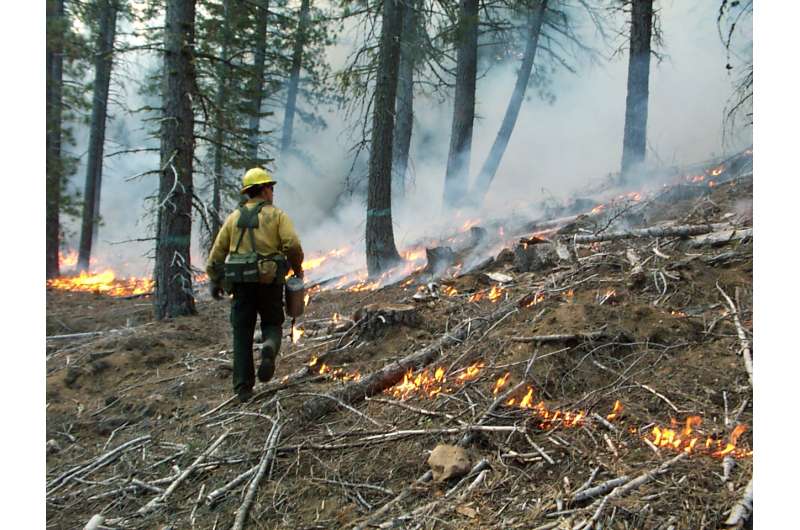 Wildfire risk in California no longer coupled to winter precipitation