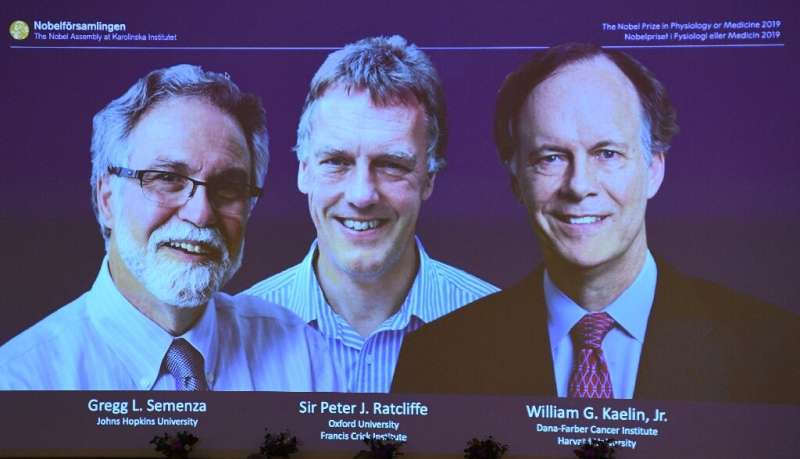 William Kaelin and Gregg Semenza of the US and Peter Ratcliffe of Britain were announced as the winners of 2019 Nobel Medicine P
