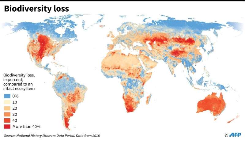 World map showing biodiversity loss by region compared to an intact ecosystem
