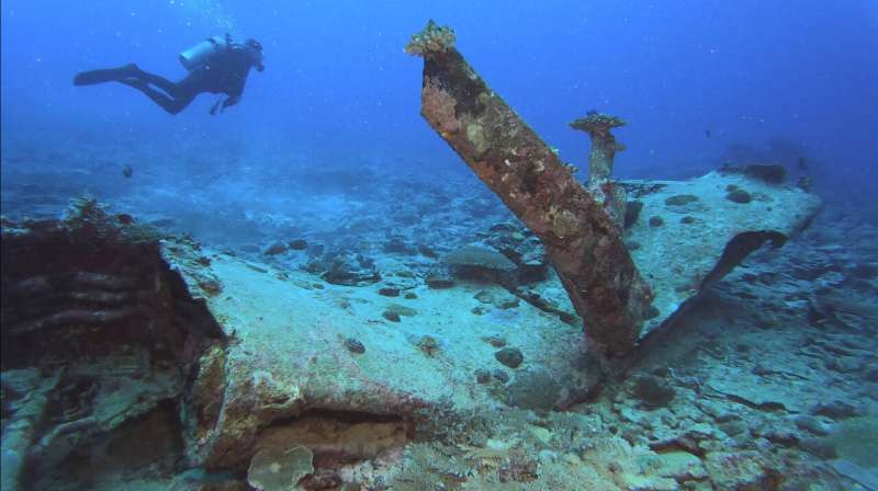 WWII researcher: Sea wreck must be plane of US MIA pilot