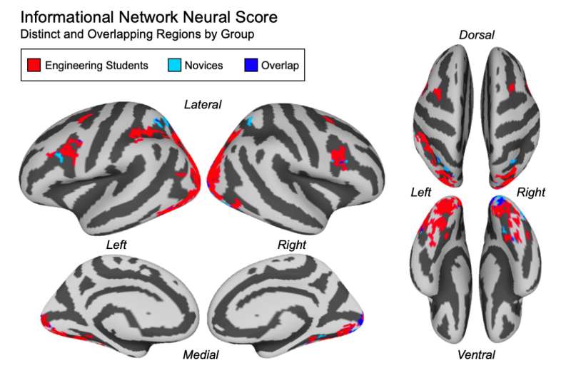 Your brain activity can be used to measure how well you understand a concept