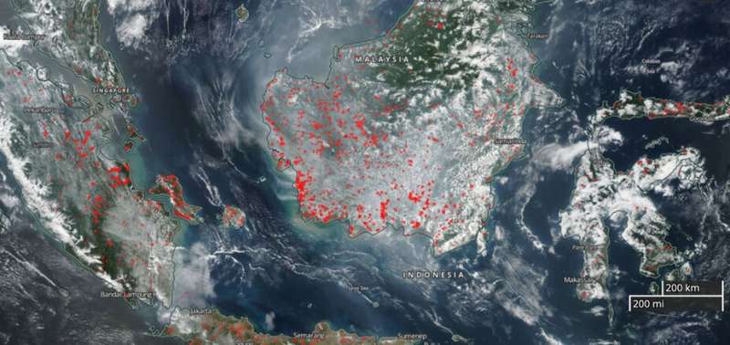 Researchers develop app to detect areas most vulnerable to life-threatening haze