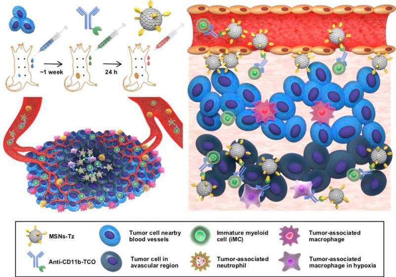 Nanoparticles “click” immune cells to make a deeper penetration into tumors