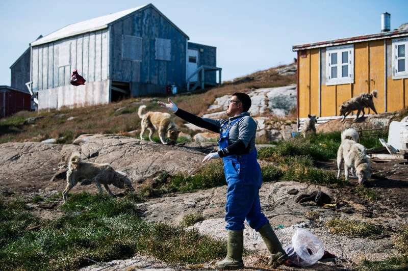Climate change is casting a shadow over the much loved tradition in Greenland of dog sledding