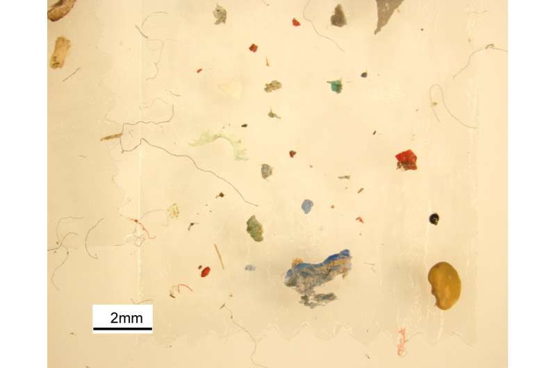 Microplastics in the Great Lakes: Becoming benthic
