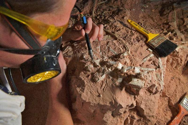 Paleontologist Rodrigo Temp Muller and the team he works on are studying several dinosaur species
