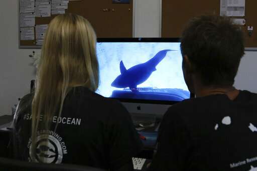 Researchers come face to face with huge great white shark