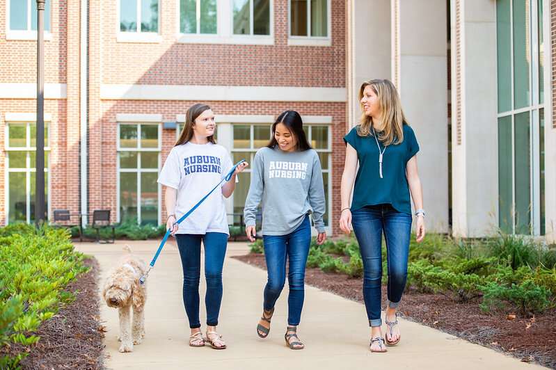 Researchers find walking a dog to be especially good behavior for nursing students