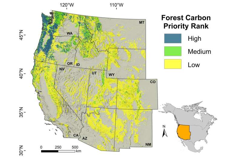 Researchers find some forests crucial for climate change mitigation, biodiversity