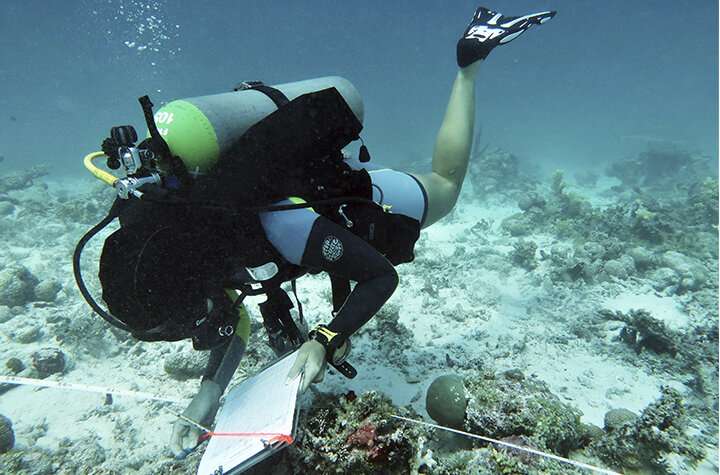 **Understanding the drivers of coral reef recovery: a long-term study in the Pacific