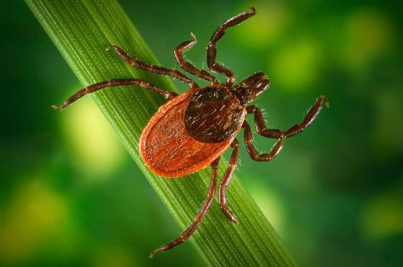 Climate change driving expansion of Lyme disease in the US