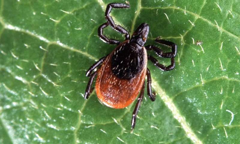 Climate change driving expansion of Lyme disease in the US