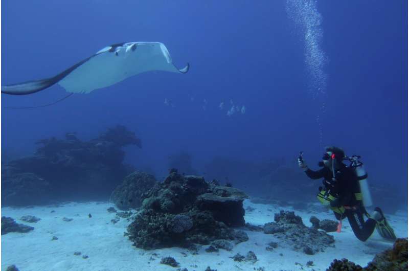 Citizen scientists offer ray of hope