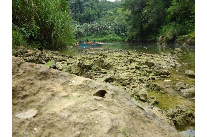 New species of rock-eating shipworm identified in freshwater river in the Philippines