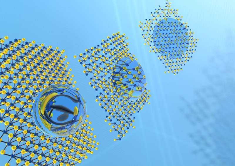 Researchers design superhydrophobic 'nanoflower' for biomedical applications