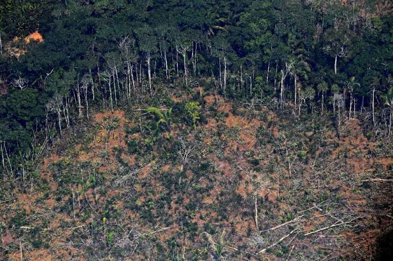A deforested piece of land in the Amazon rainforest near an area affected by fires, about 65 km from Porto Velho, in the state o