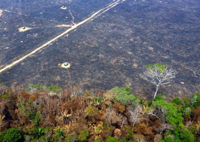Aerial view of burnt areas of the Amazon rainforest near Porto Velho, in Rondonia state
