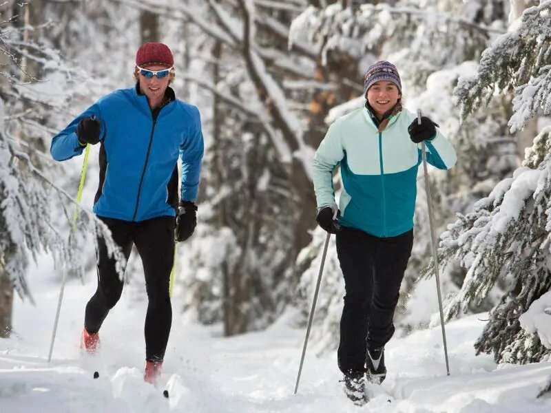 美国心脏协会消息:对滑雪者的研究发现了关于心房纤颤、中风和高强度运动的惊喜