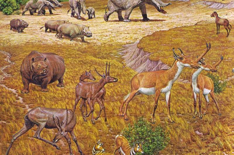Ancient 'Texas Serengeti' had elephant-like animals, rhinos, alligators and more