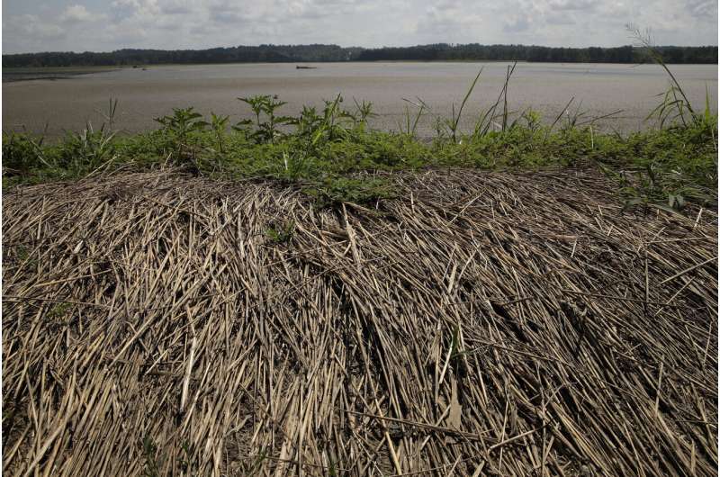 AP: States brace for long-term flood fight as damages