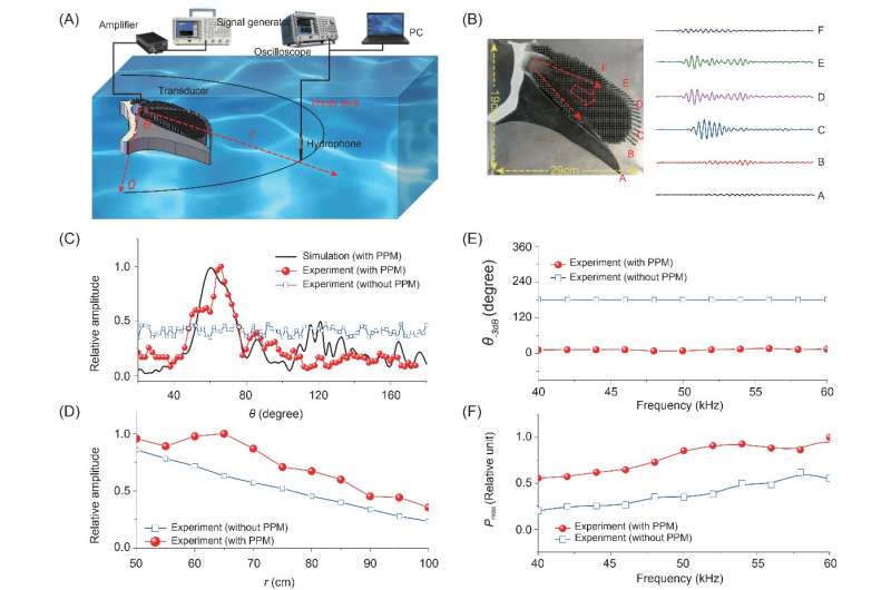 Artificial materials reconstruct the porpoise's echolocation