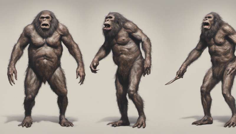 A snapshot of our mysterious ancestor Homo erectus