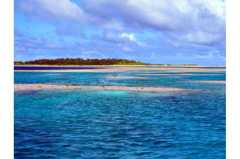 Bacteria surrounding coral reefs change in synchrony, even across great distance