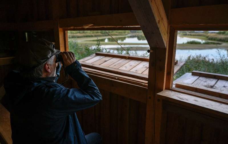 Birdwatchers in West Germany counted among the earliest to appreciate the natural value of the border