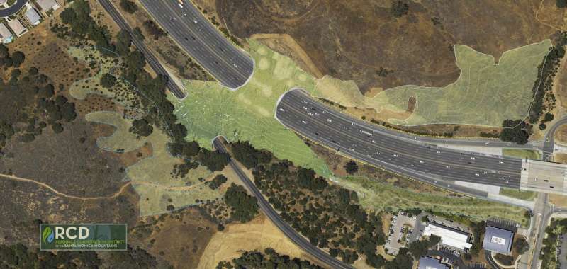 California freeway crossing to give wildlife room to roam