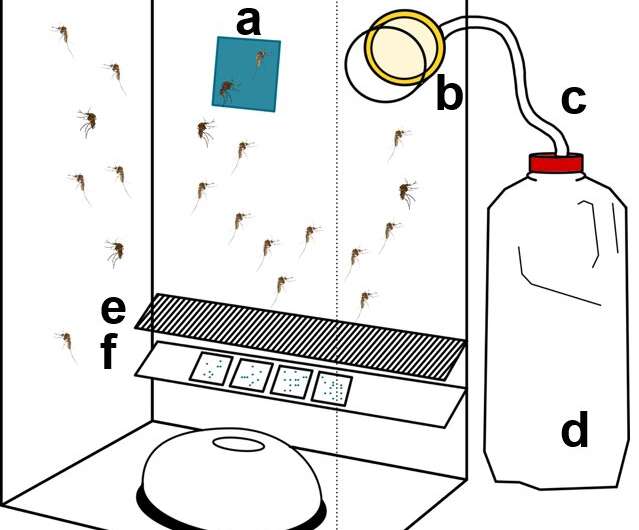 Capturing mosquito waste could speed up virus detection