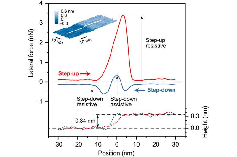 Chemical and physical origins of friction on surfaces with atomic steps