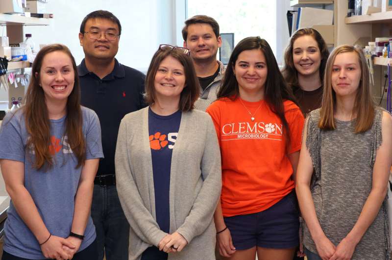 Clemson researchers gain ground in the race to cure widespread parasitic infection
