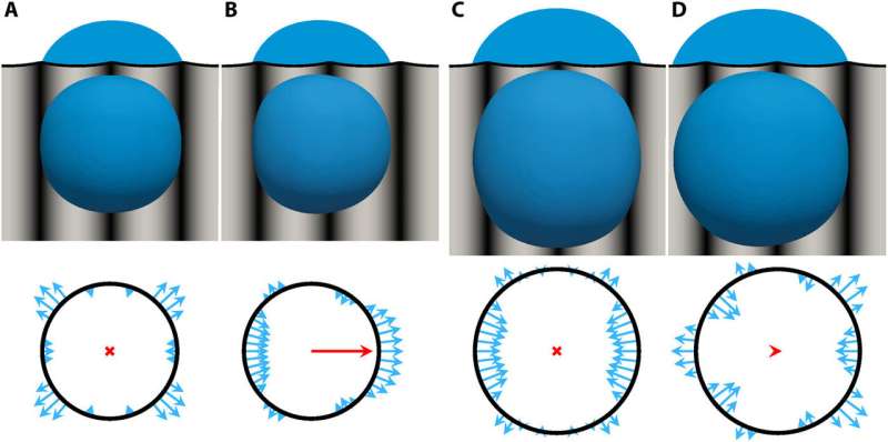 Climbing droplets driven by mechanowetting on transverse waves