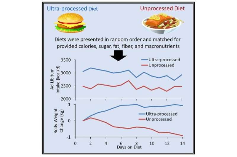 Controlled study links processed food to increased calorie consumption