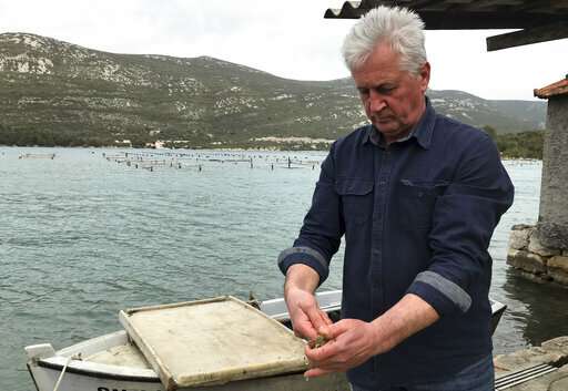 Croatia's top oyster farmers in alarm after norovirus found