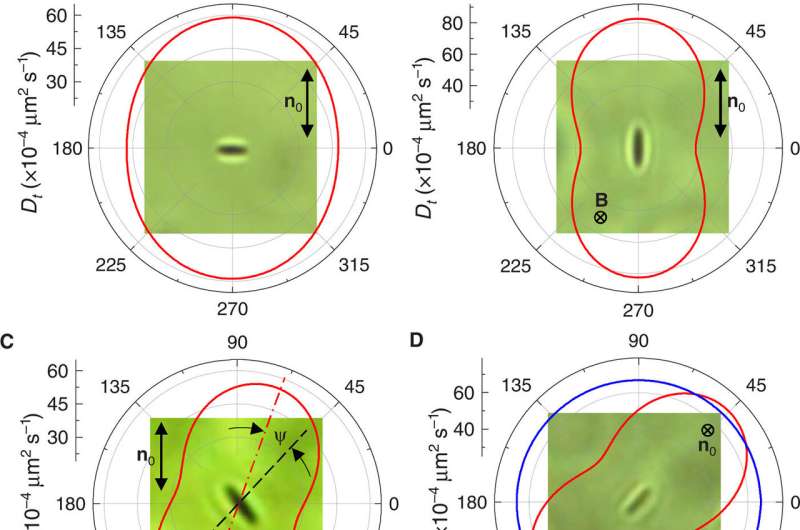 Electrostatically controlled surface boundary conditions in nematic liquid crystals and colloids.