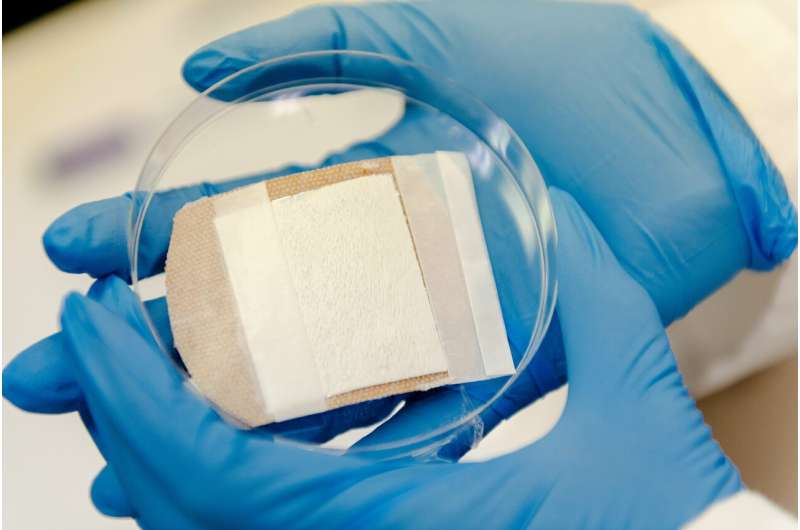 Engineers craft the basic building block for electrospun nanofibers