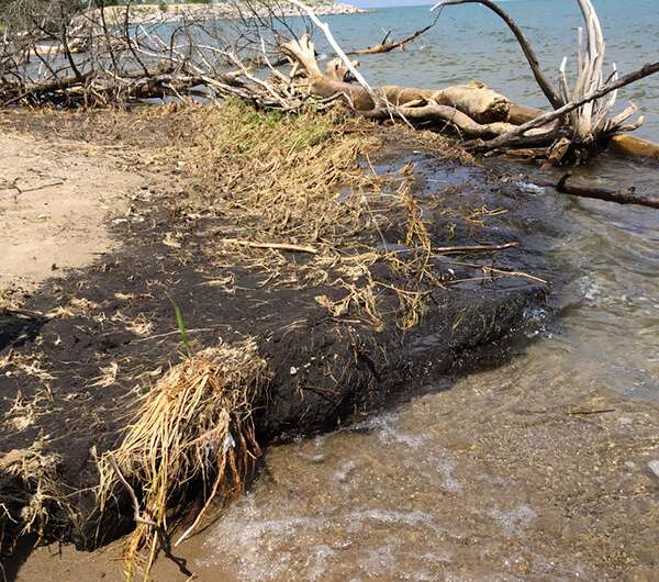 Freshwater coastal erosion alters global carbon budget