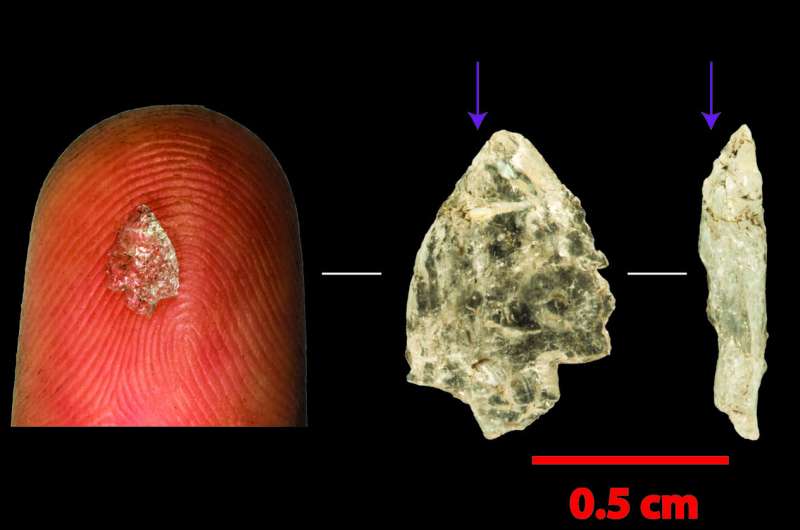 From Stone Age chips to microchips: How tiny tools may have made us human
